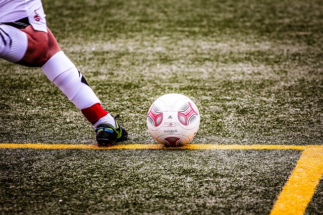 他在教練邁 他在教練邁