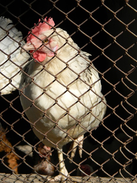 那么这样的 那么这样的