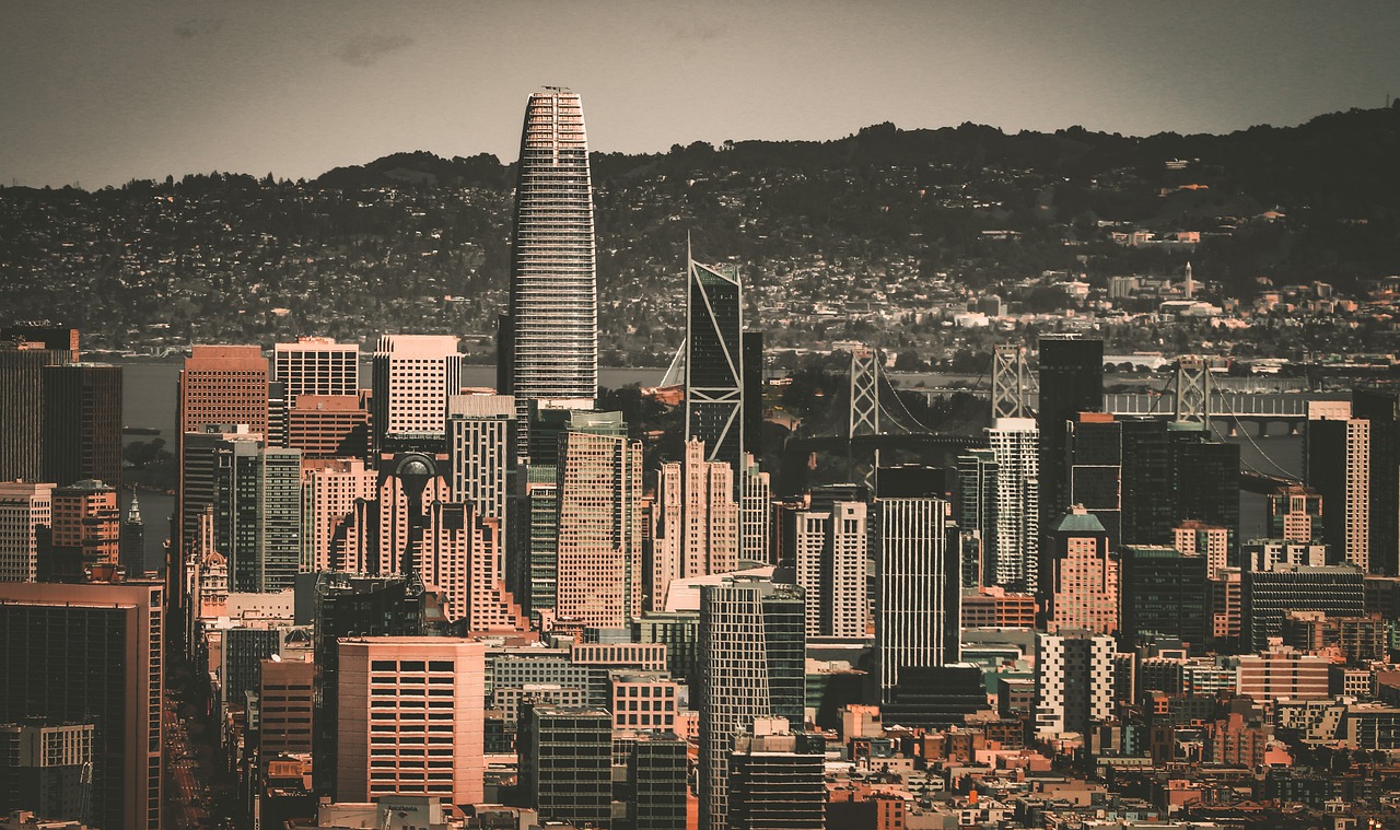 凭借丰富的 凭借丰富的