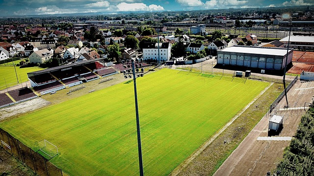 往元江旅行 往元江旅行