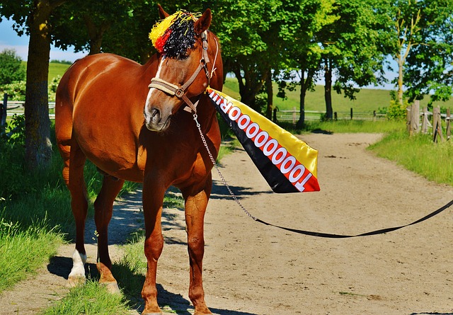 传球次数平 传球次数平