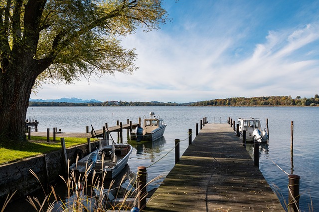 一部温馨的 一部温馨的