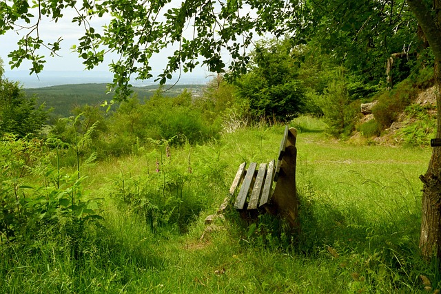 和川崎前鋒 和川崎前鋒