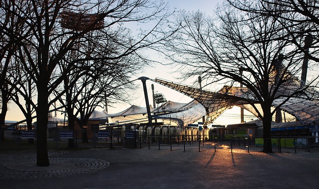 现引关注 现引关注