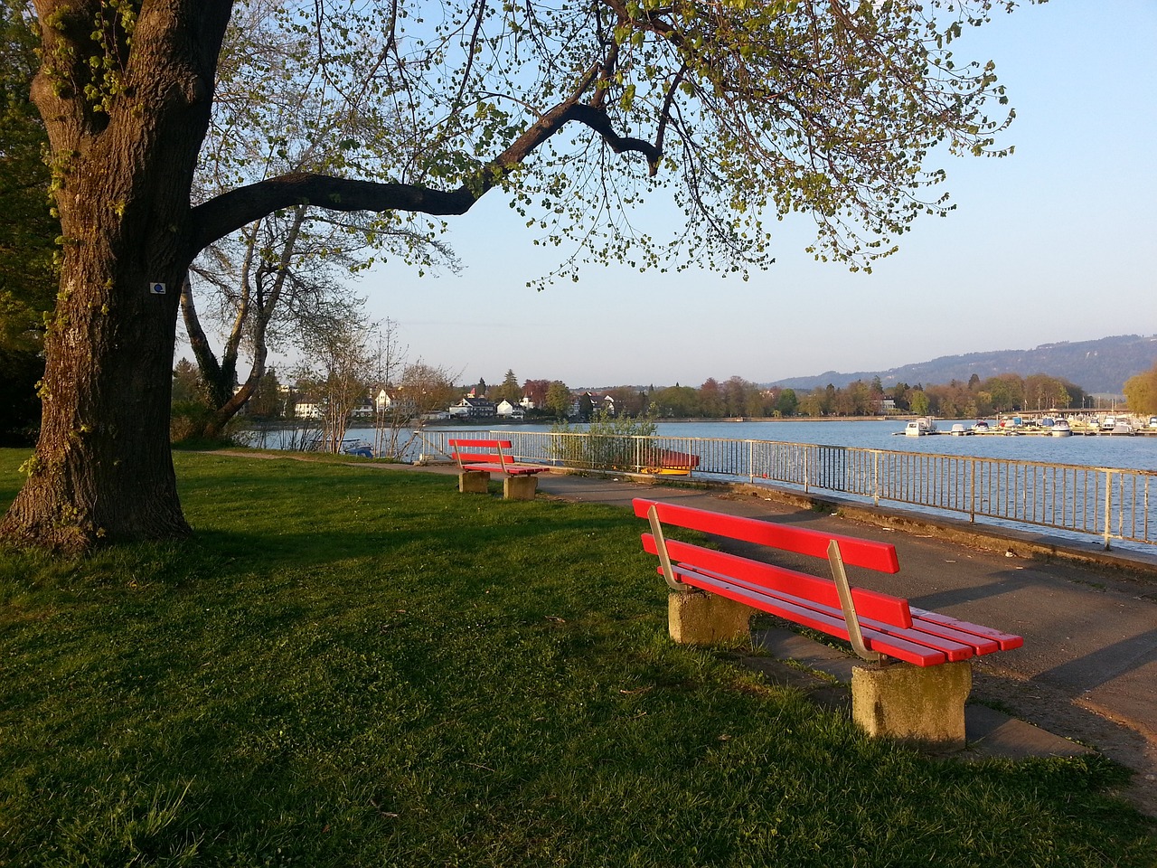 攻组织的综 攻组织的综